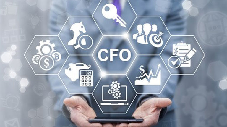 Virtual CFO Services